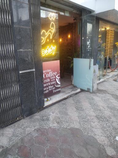 عکس قهوه ددی