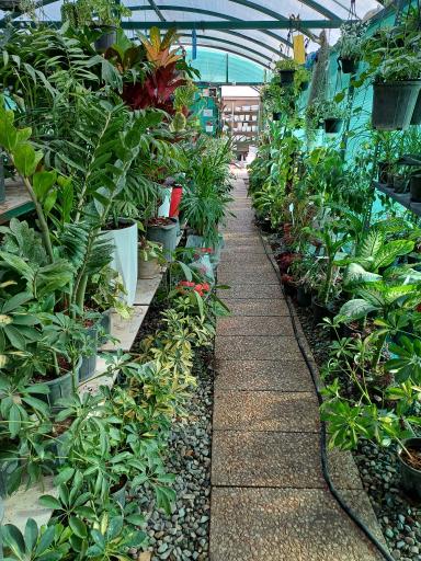 عکس گلخانه ایران رویال