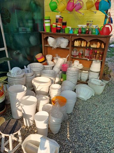 عکس گلخانه ایران رویال