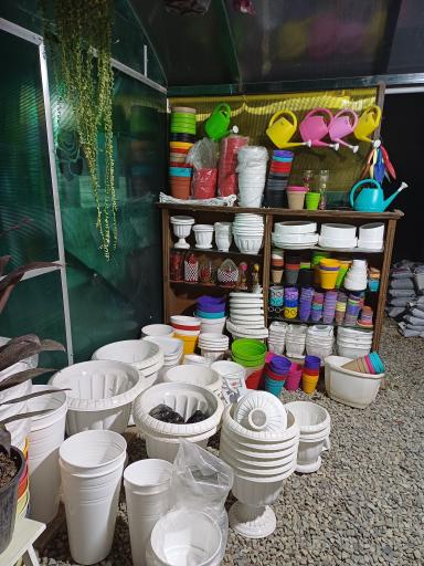 عکس گلخانه ایران رویال