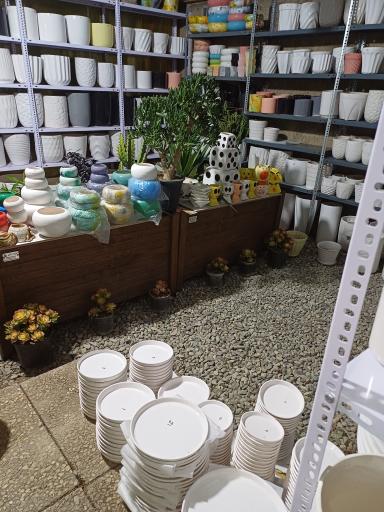 عکس گلخانه ایران رویال