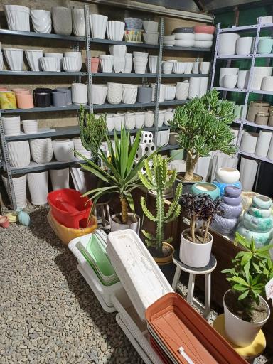 عکس گلخانه ایران رویال