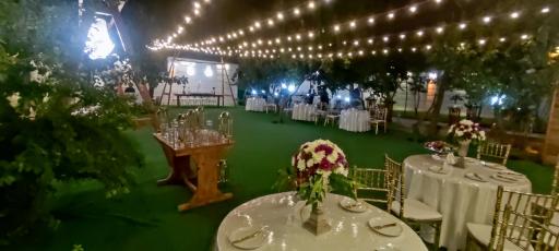 عکس کافه رستوران ترنم