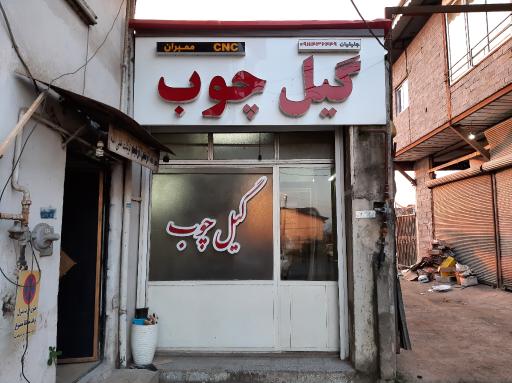 عکس گیل چوب