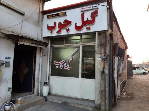 عکس گیل چوب