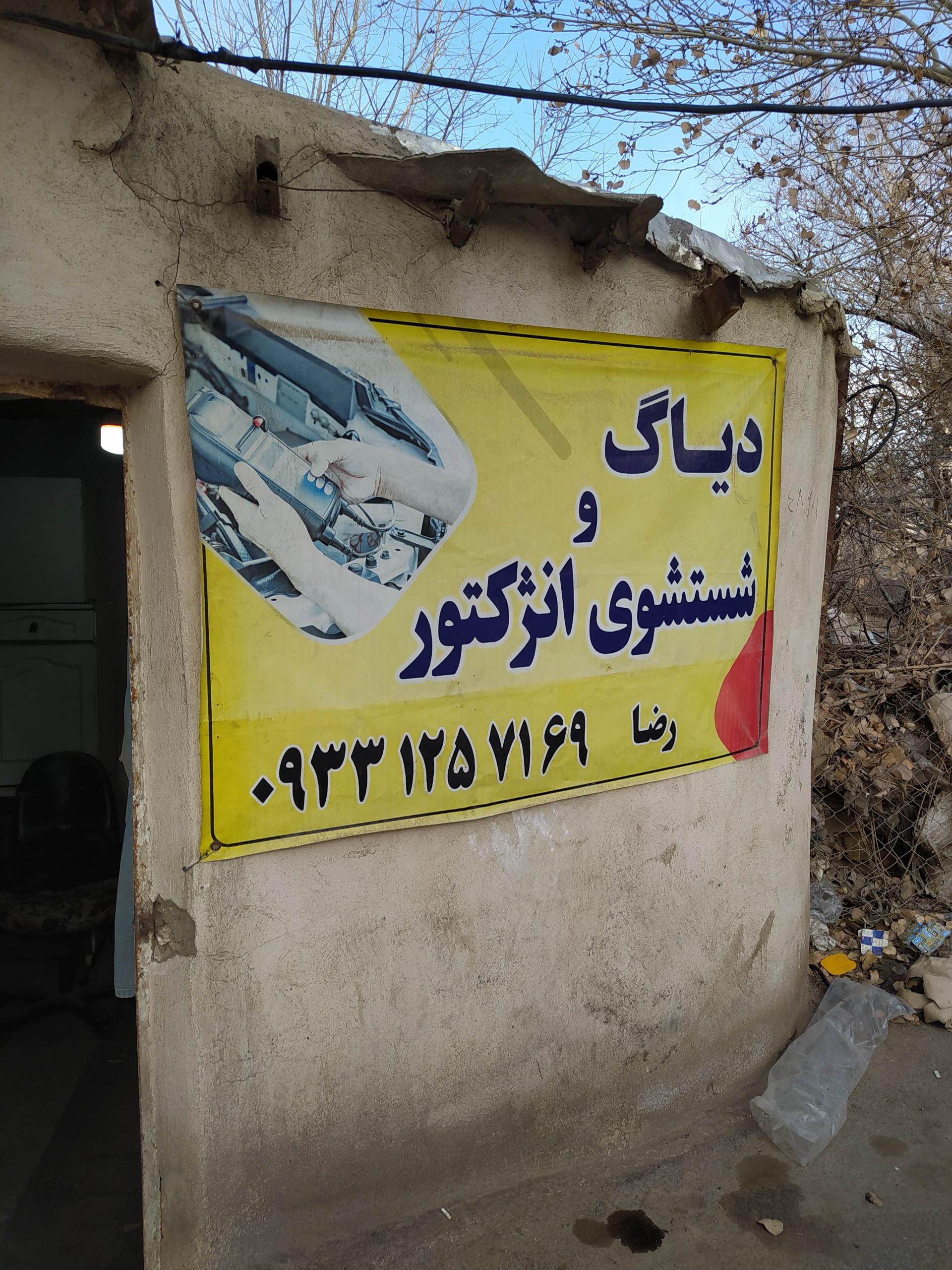 عکس شستشوی انژکتور و کاربرات رضا