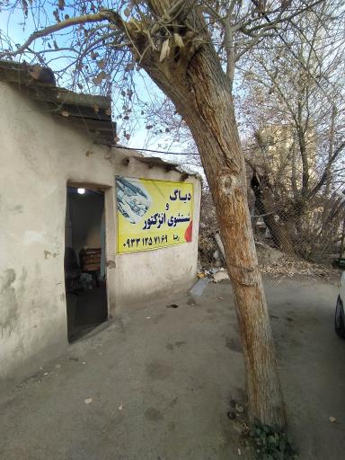 عکس شستشوی انژکتور و کاربرات رضا