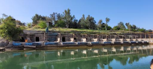 عکس کت های طالخانی دزفول