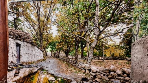 عکس گالری فرش مرعشی