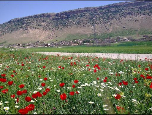 عکس شهر آسمان آباد