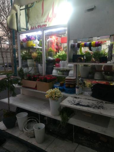 عکس کیوسک گلفروشی