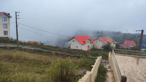 عکس گویتر