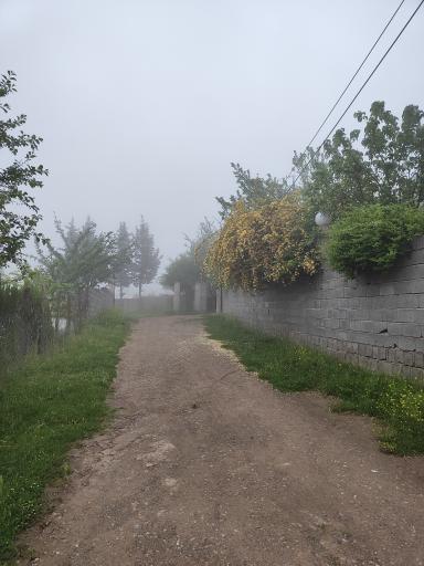 عکس گویتر