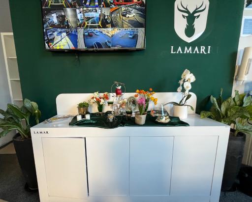 عکس خدمات پس از فروش لاماری امامی