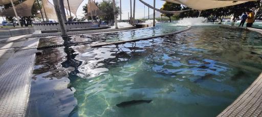 عکس مجتمع تفریحی قزل پارک