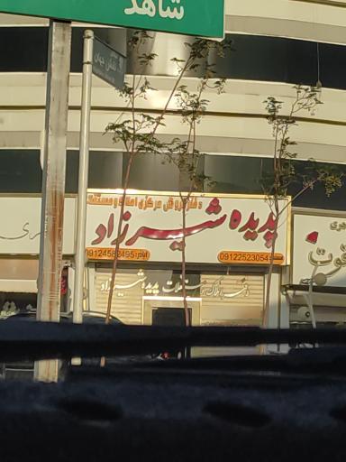 عکس پدیده شیرزاد