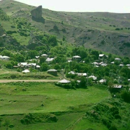 عکس عروس تله
