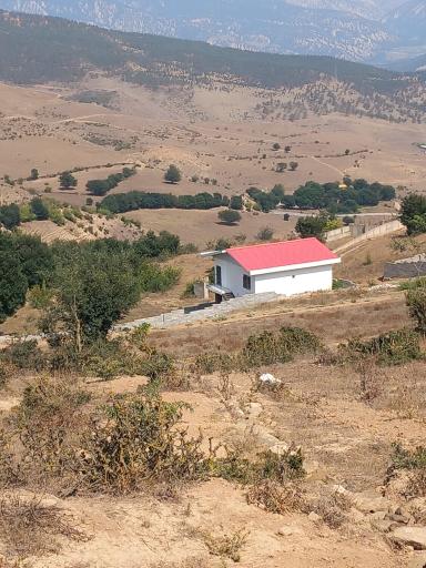 عکس گویتر