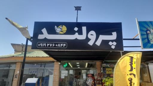 عکس پرولند