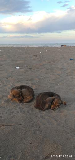 عکس ساحل شریعت آباد