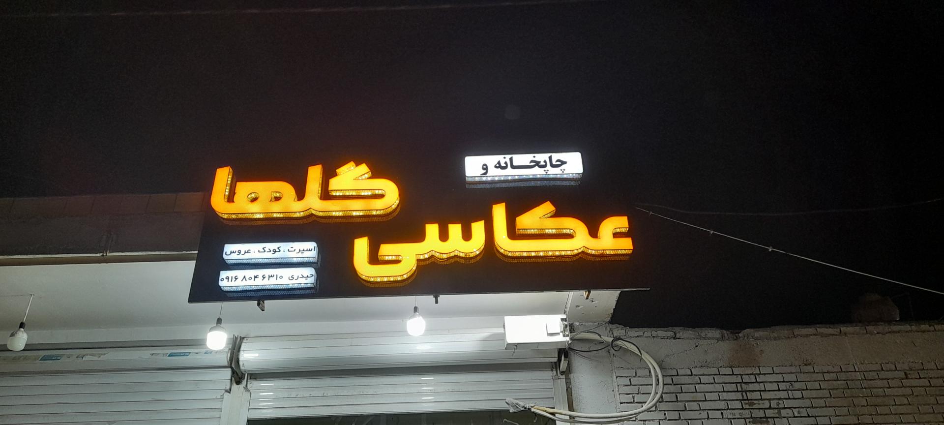 عکس عکاسی گلها