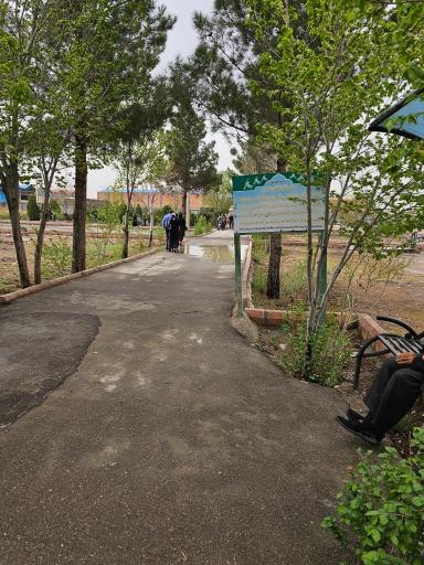 عکس قبرستان باغ معروف