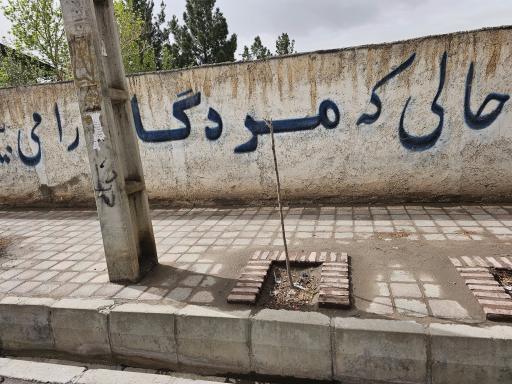 عکس قبرستان باغ معروف