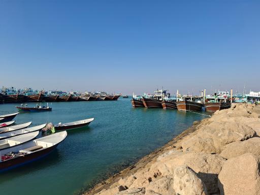 عکس کنارک