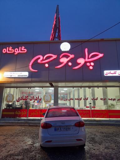 عکس چلو جوجه برادران کلبادی خواجوی