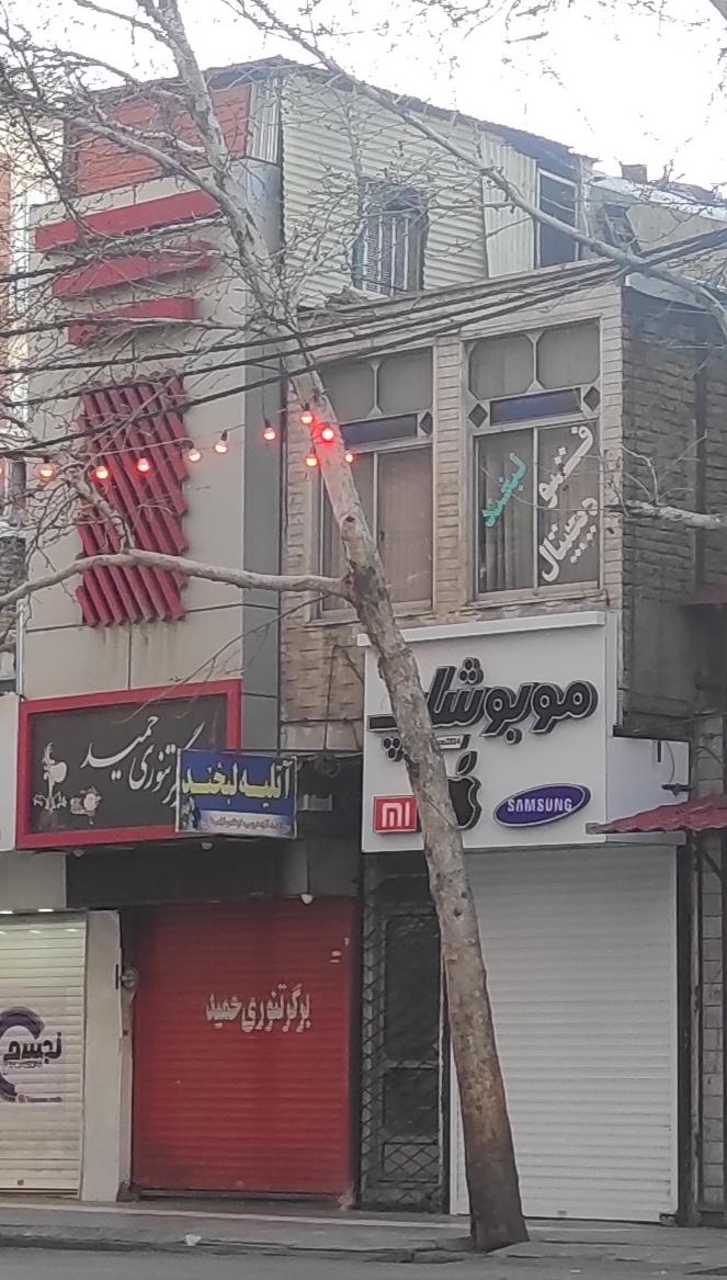 عکس برگر تنوری حمید