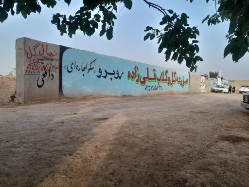 عکس مزرعه گل و گلاب قلی زاده