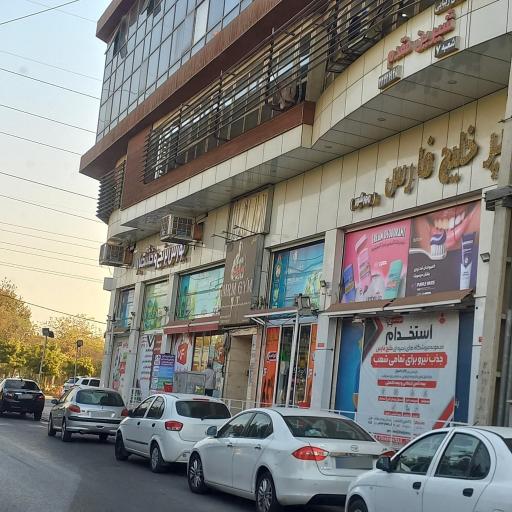 عکس هاپیر خلیج فارس
