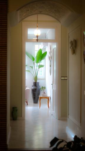 عکس کافه قصه