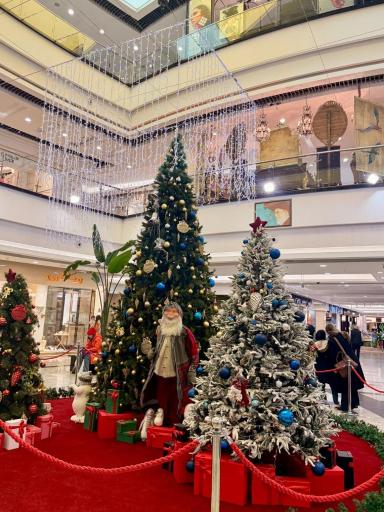 عکس مرکز خرید پالادیوم