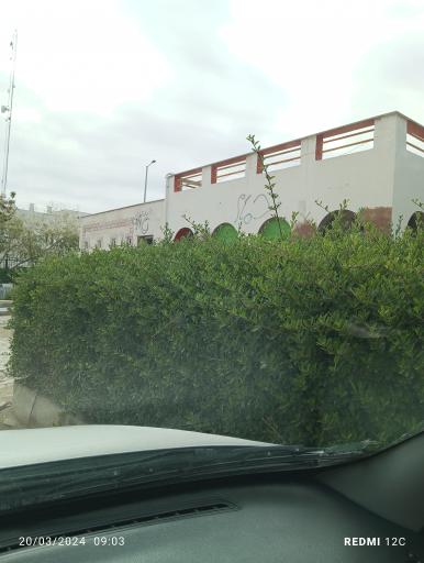 عکس پارک مادر