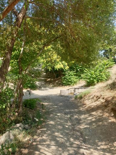 عکس چشمه محمودیه البرز