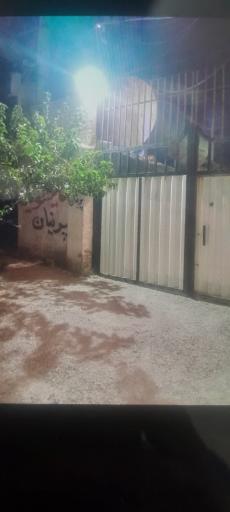 عکس قالیشویی مجاز پرنیان