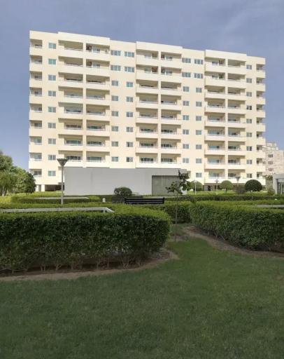 عکس دامون 6