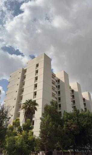 عکس دامون 6