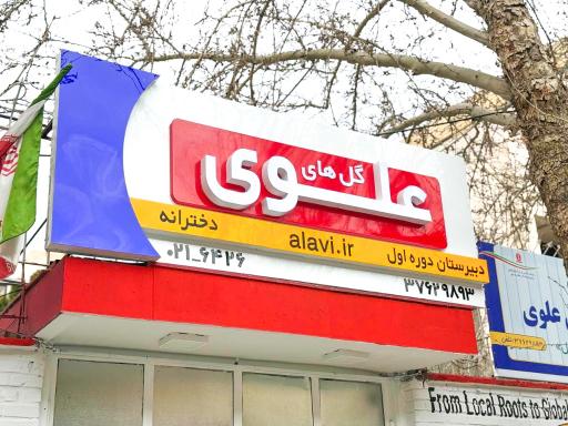 عکس دبیرستان دخترانه دوره اول گل های علوی