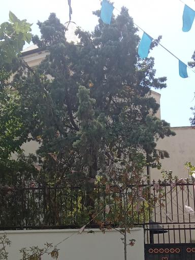 عکس کلیسای گریگور