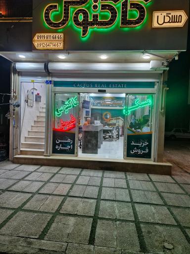 عکس مسکن کاکتوس 