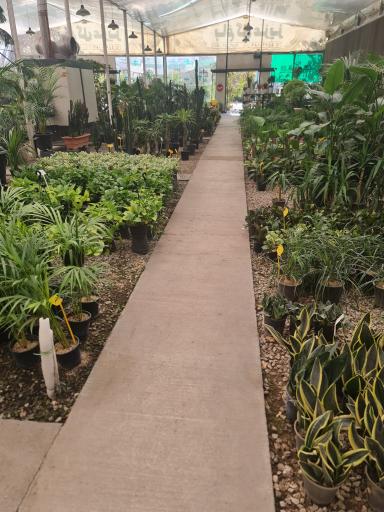 عکس باغ گل عزیز
