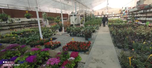 عکس باغ گل عزیز