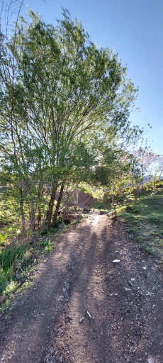 عکس چشمه محمودیه البرز