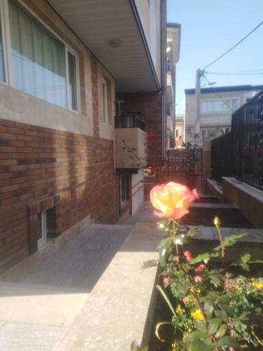 عکس پروژه بنیاد مسکن جانویسلو