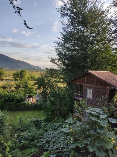 عکس اقامتگاه بومگردی گیله‌گل 