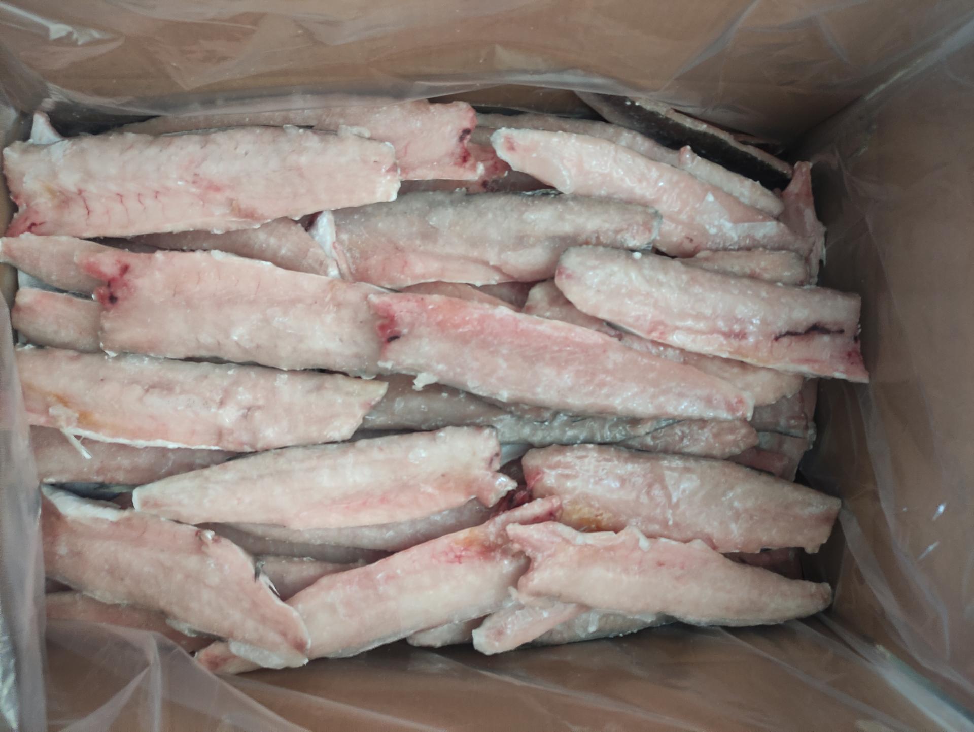 عکس صیدآوران رضا فرخی