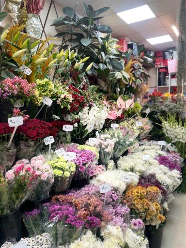 عکس گل فروشی افشین 