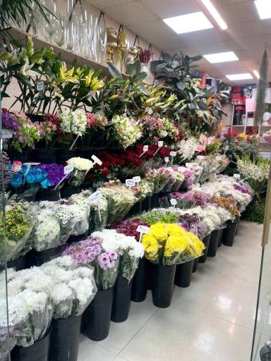 عکس گل فروشی افشین 